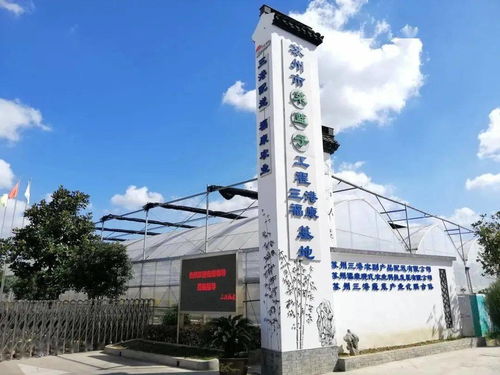 紓難解困，精準服務 賦能農副產品企業高質量發展